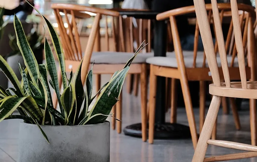 Membership with Business 4 Social Good