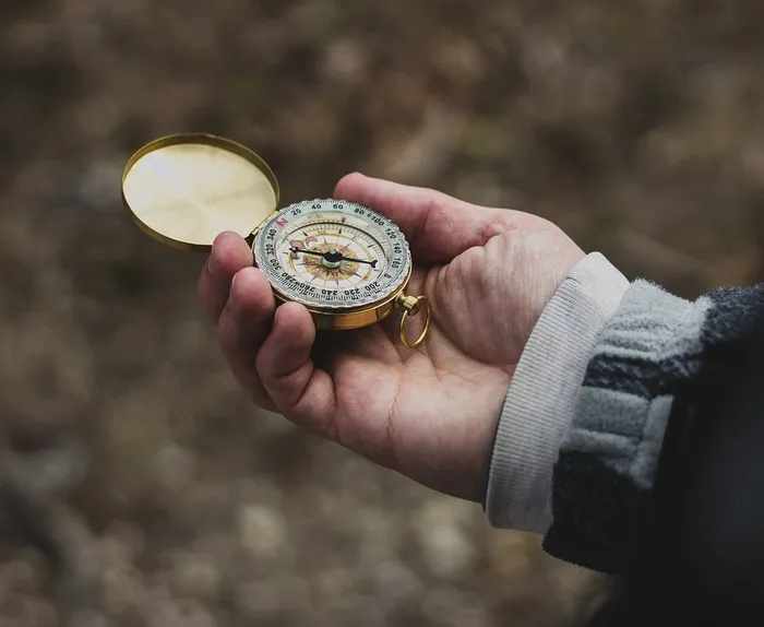 Social Impact business