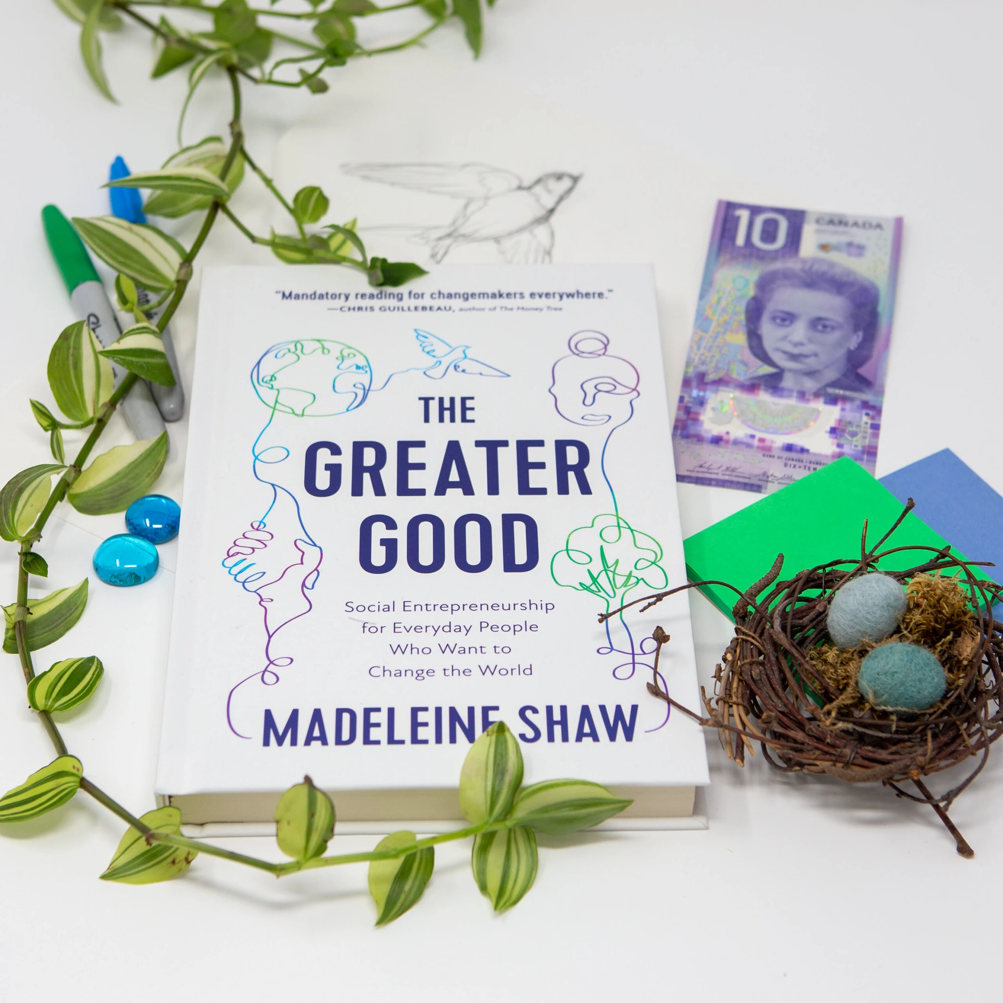 Social Entrepreneurship The Greater Good book