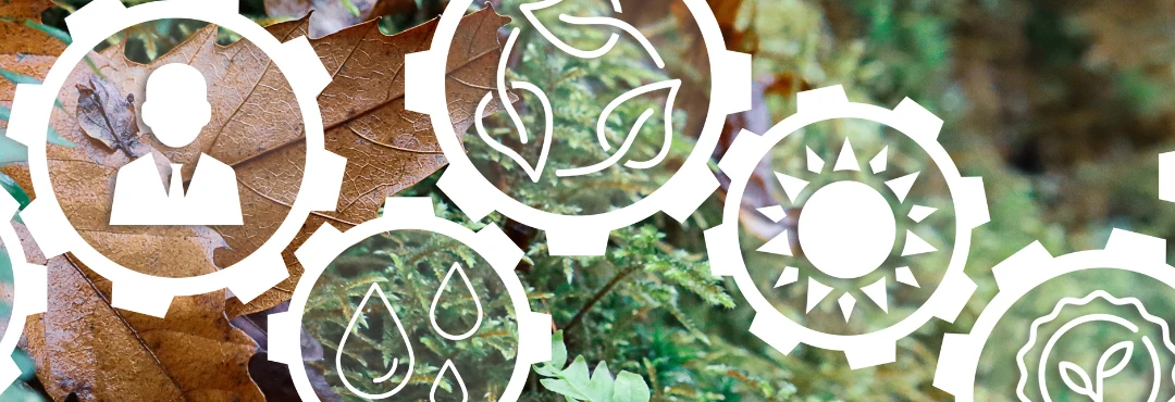 Building Social Purpose for Social Impact