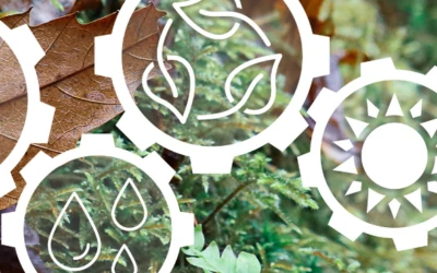 Building Social Purpose for Social Impact
