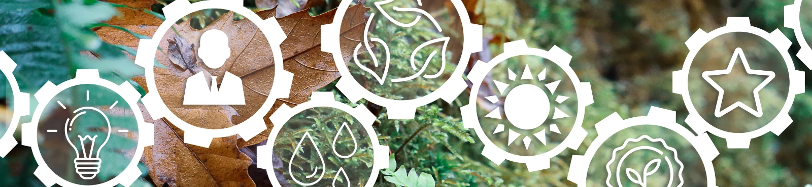 Building Social Purpose for Social Impact