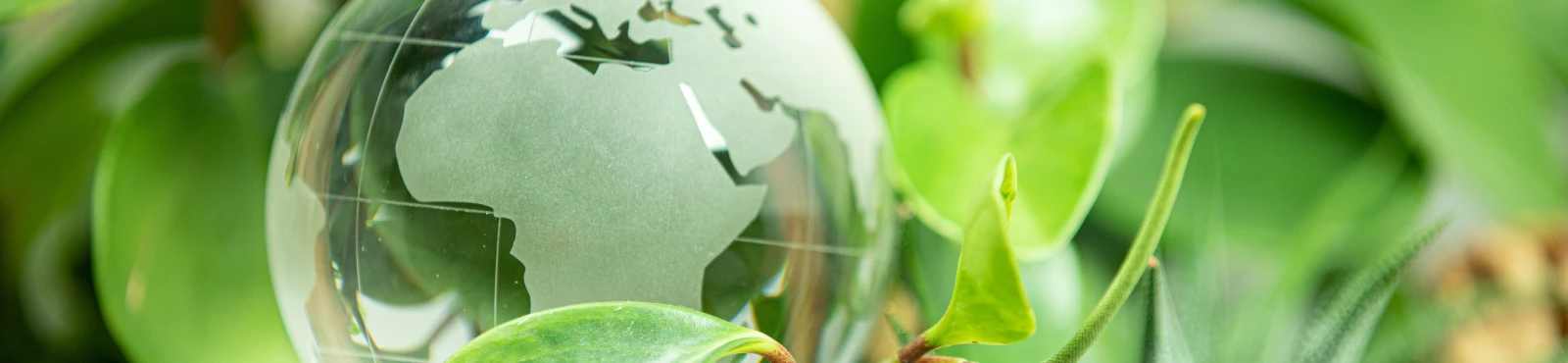 Social Purpose and Social Impact