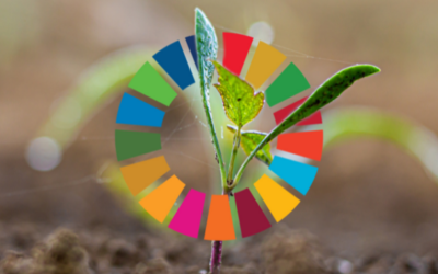 A Guide to the UN Sustainable Development Goals: Understanding the Blueprint for a Better World