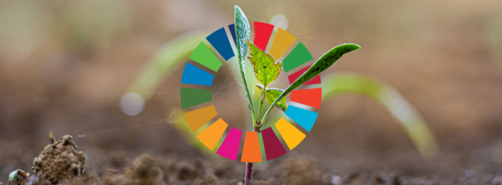 A Guide to the UN Sustainable Development Goals: Understanding the Blueprint for a Better World