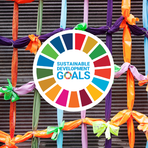 SDGs are interconnected and independent